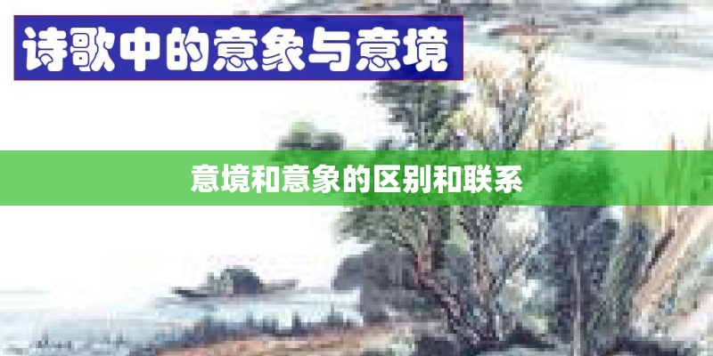 狗狗身上的湿疹怎么办
