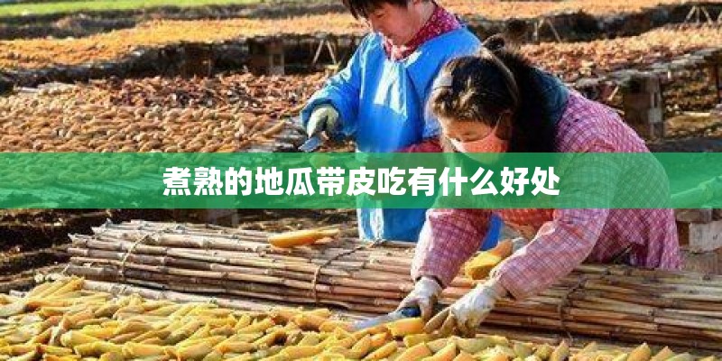 幼儿园大班教案_1