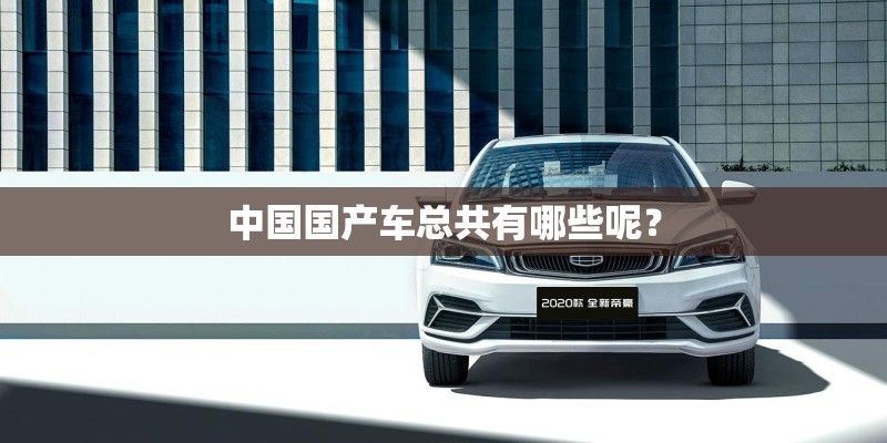 中国国产车总共有哪些呢？