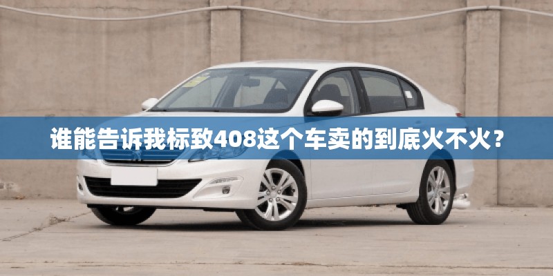 谁能告诉我标致408这个车卖的到底火不火？