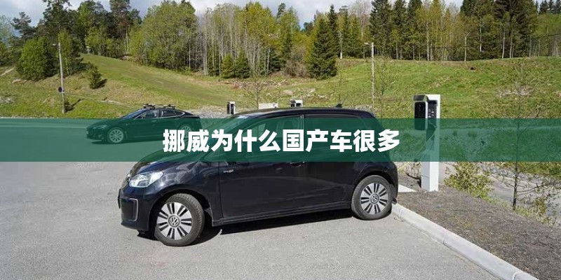 挪威为什么国产车很多