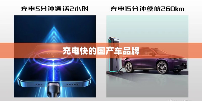 充电快的国产车品牌