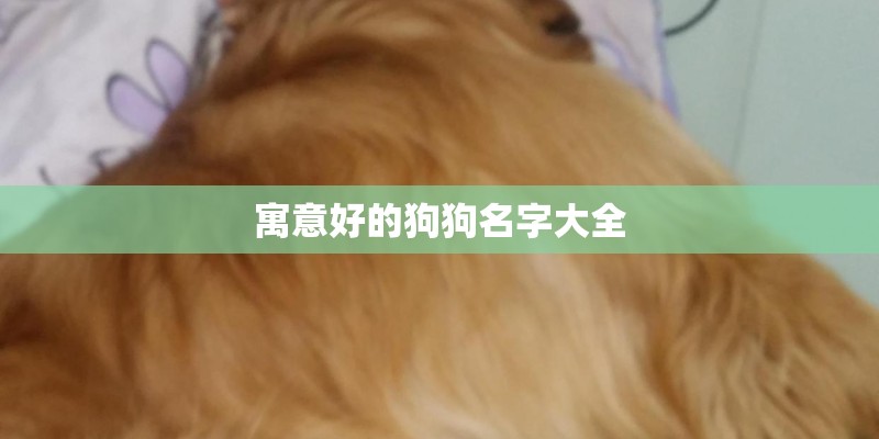寓意好的狗狗名字大全