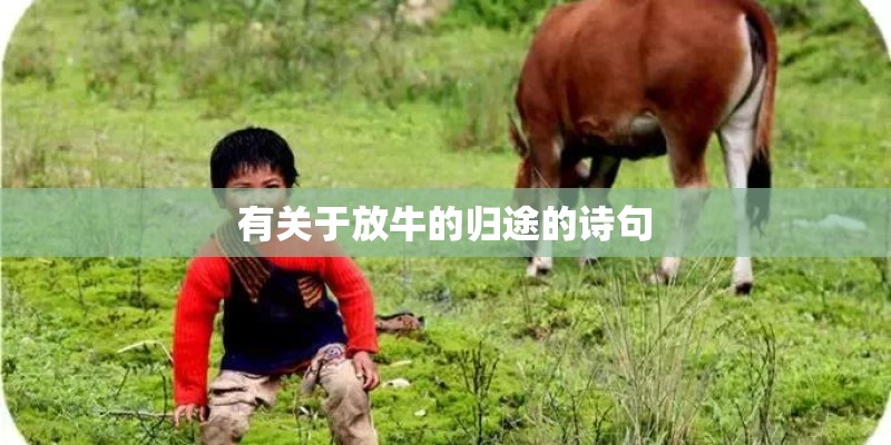 有关于放牛的归途的诗句