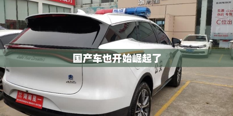 国产车也开始崛起了