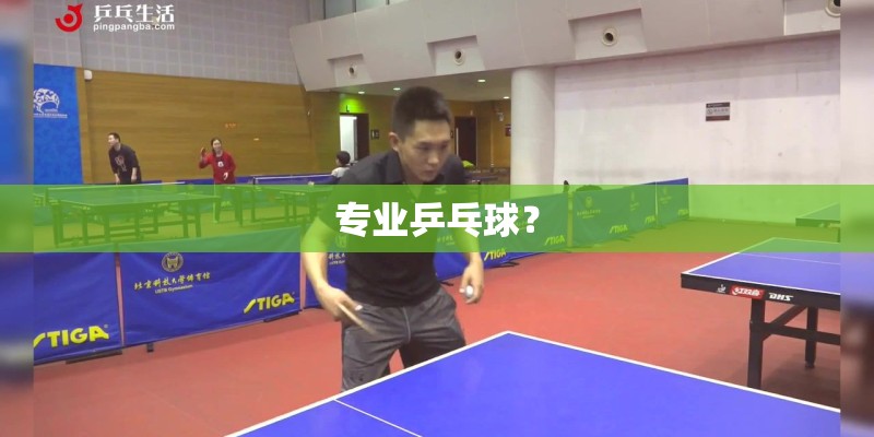 专业乒乓球？