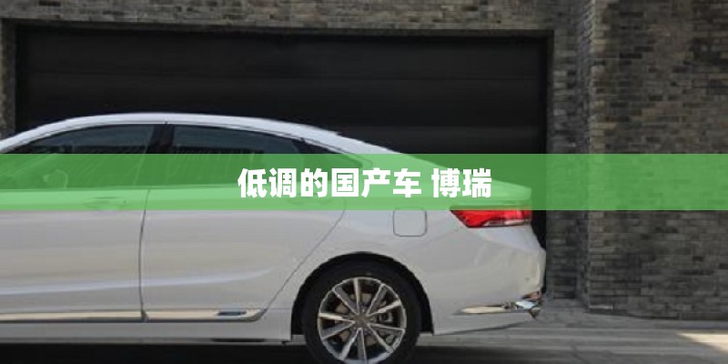 低调的国产车 博瑞