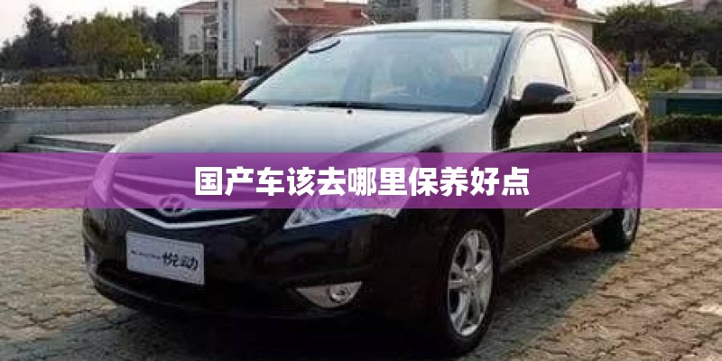 国产车该去哪里保养好点