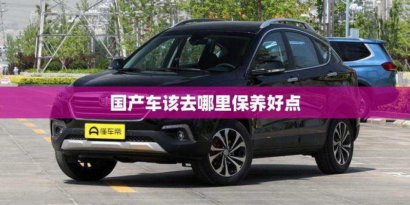 国产车该去哪里保养好点
