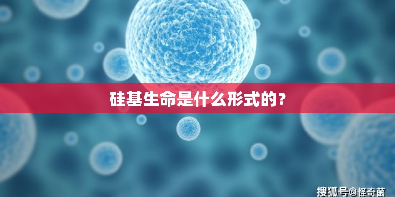 硅基生命是什么形式的？