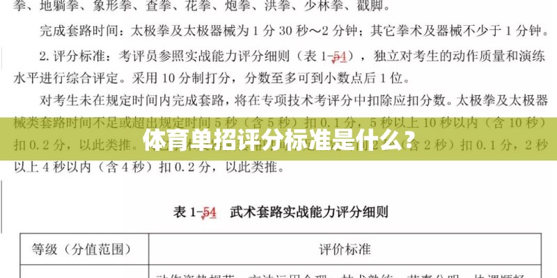 体育单招评分标准是什么？