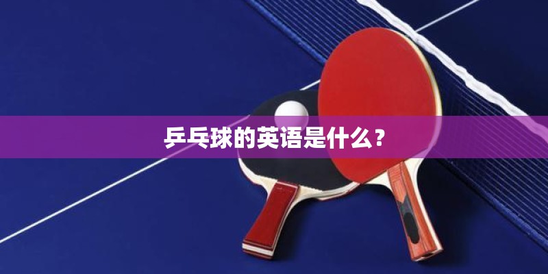 乒乓球的英语是什么？