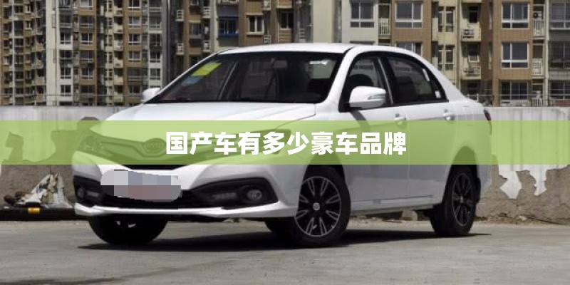 国产车有多少豪车品牌