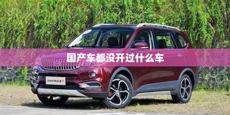 国产车都没开过什么车