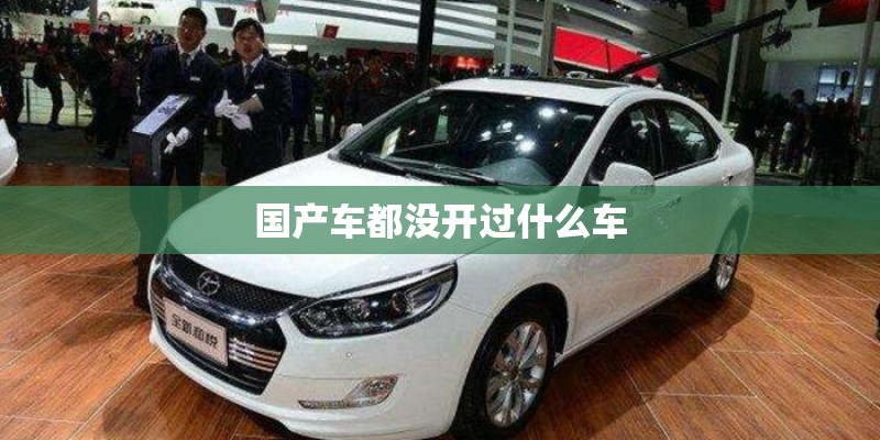 国产车都没开过什么车