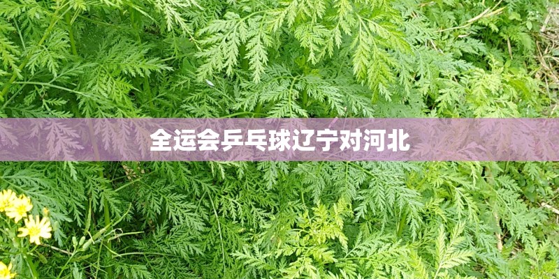 全运会乒乓球辽宁对河北