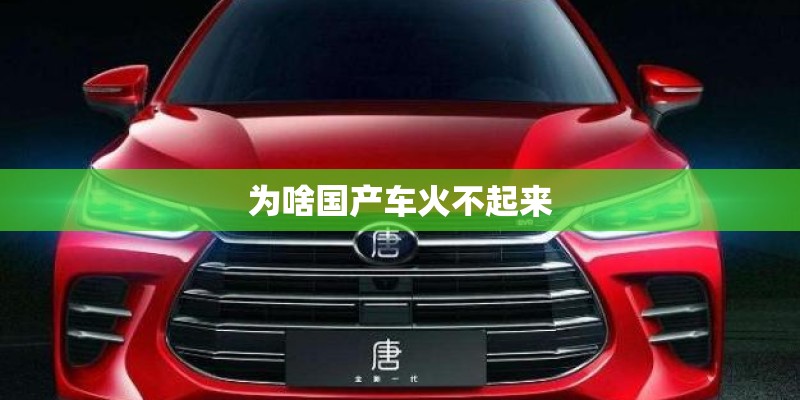 为啥国产车火不起来