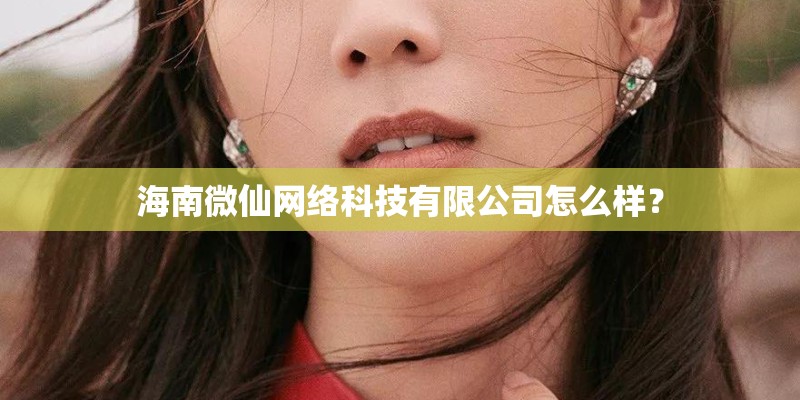 海南微仙网络科技有限公司怎么样？