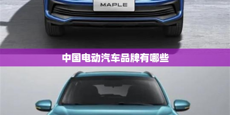 中国电动汽车品牌有哪些