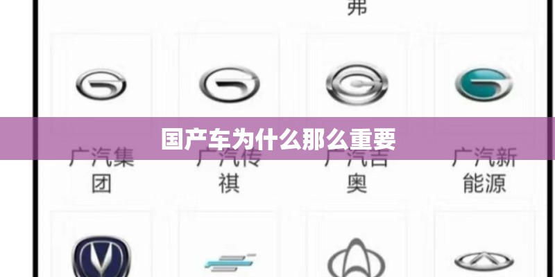 国产车为什么那么重要