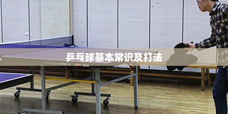 乒乓球基本常识及打法
