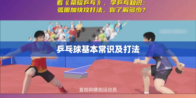 乒乓球基本常识及打法