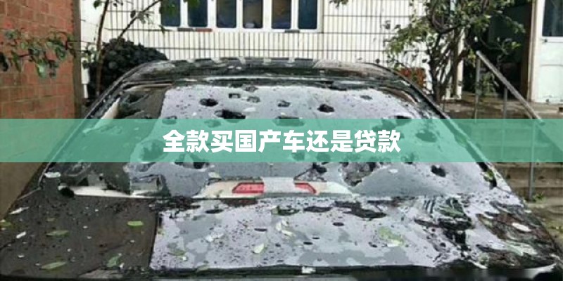 全款买国产车还是贷款