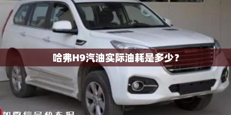 哈弗H9汽油实际油耗是多少？
