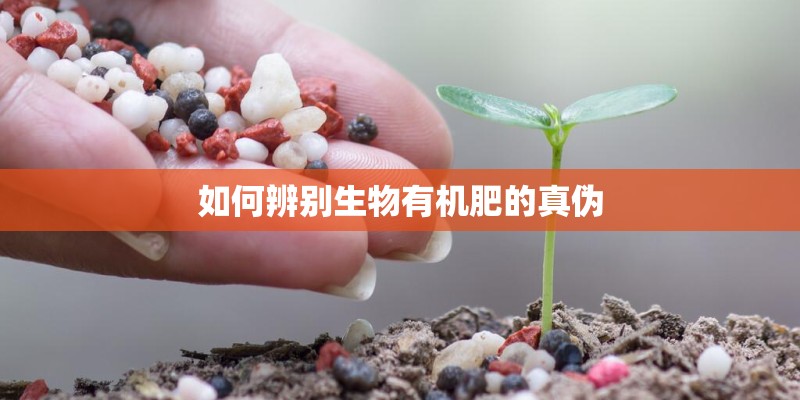 如何辨别生物有机肥的真伪