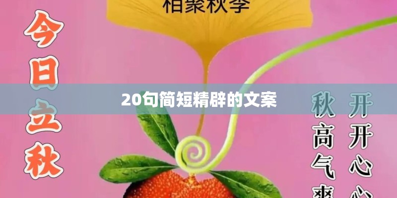 20句简短精辟的文案