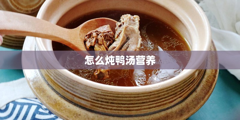 怎么炖鸭汤营养