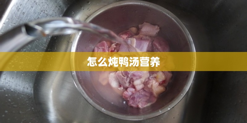 怎么炖鸭汤营养