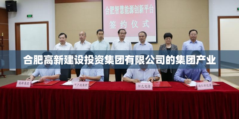 合肥高新建设投资集团有限公司的集团产业
