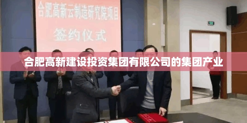 合肥高新建设投资集团有限公司的集团产业