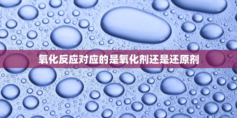 氧化反应对应的是氧化剂还是还原剂