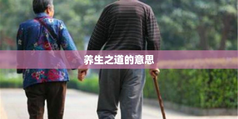 养生之道的意思