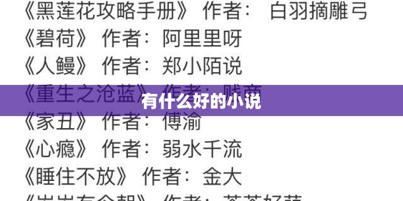 有什么好的小说