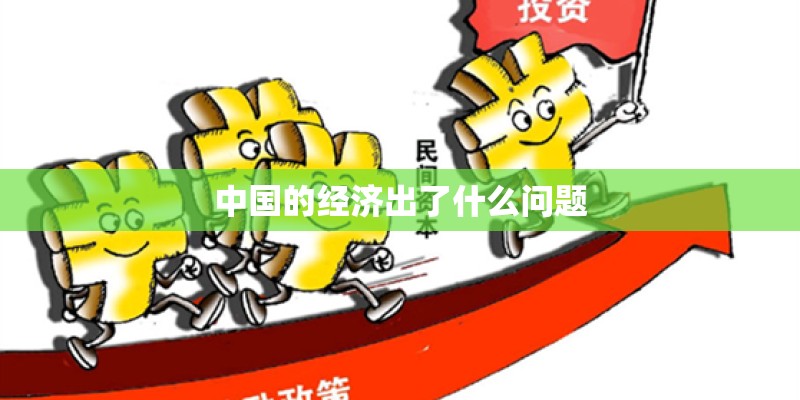 中国的经济出了什么问题