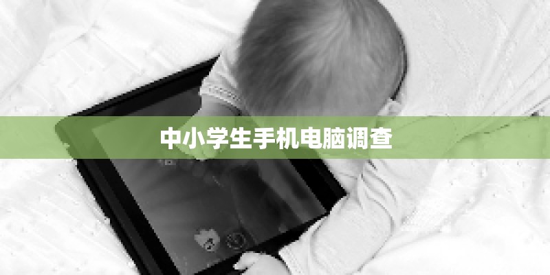 中小学生手机电脑调查