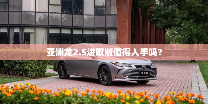 亚洲龙2.5进取版值得入手吗？