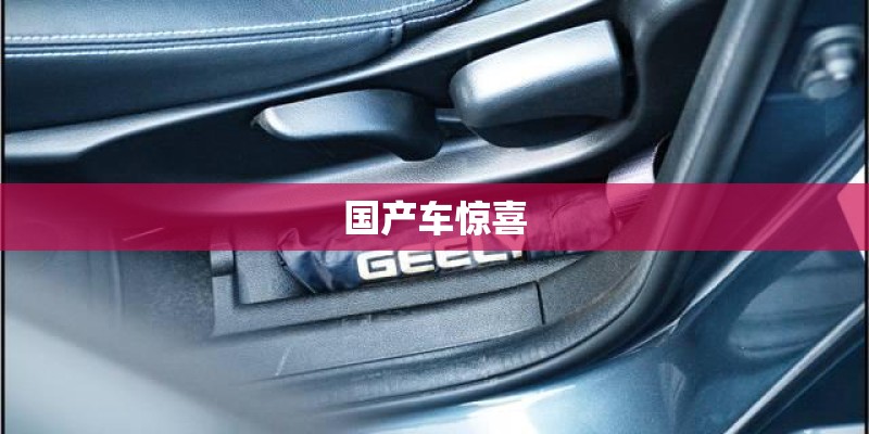 国产车惊喜