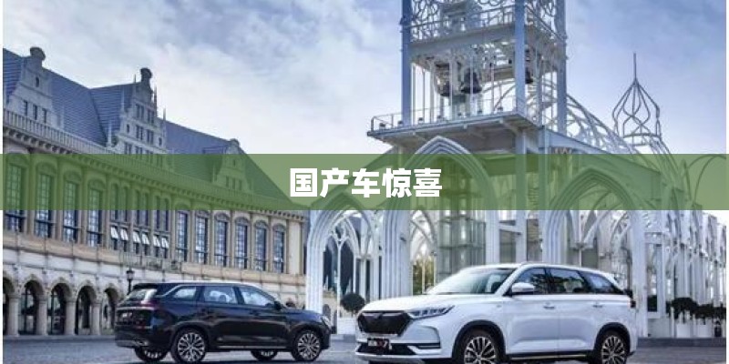 国产车惊喜