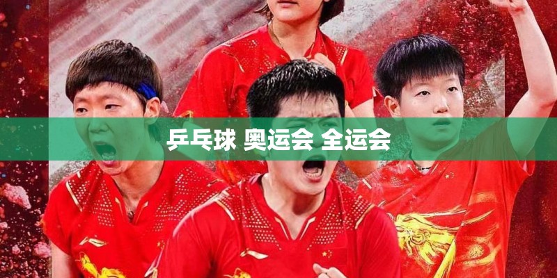 乒乓球 奥运会 全运会