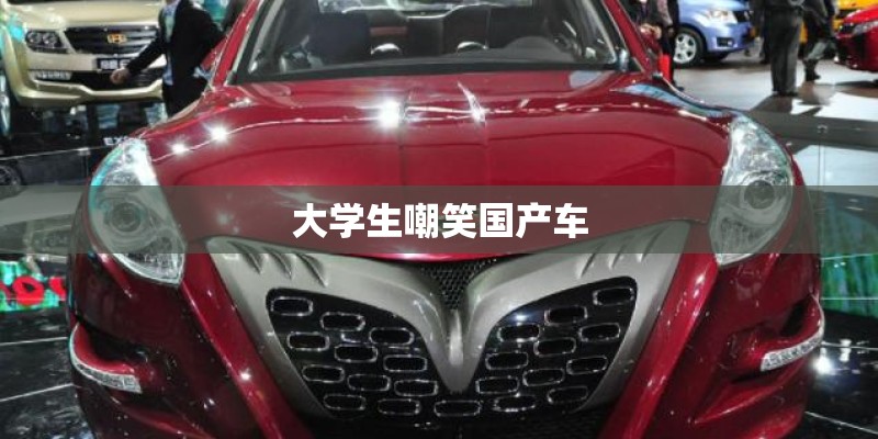 大学生嘲笑国产车