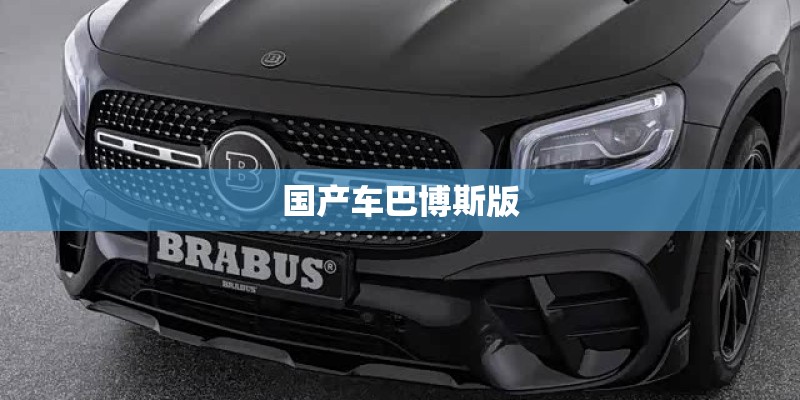 国产车巴博斯版