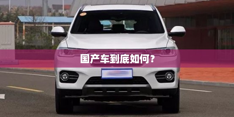 国产车到底如何？