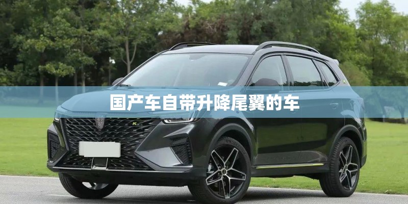 国产车自带升降尾翼的车