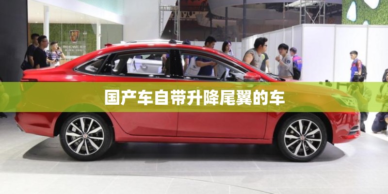 国产车自带升降尾翼的车