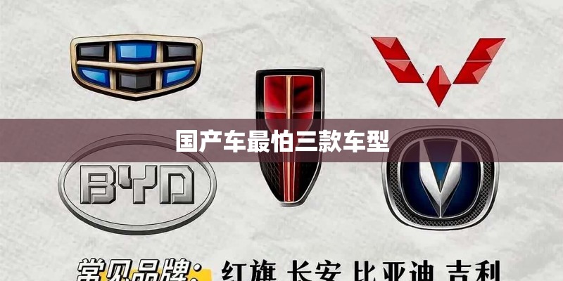 国产车最怕三款车型