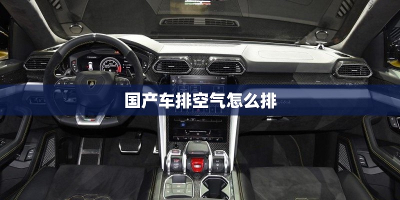 国产车排空气怎么排